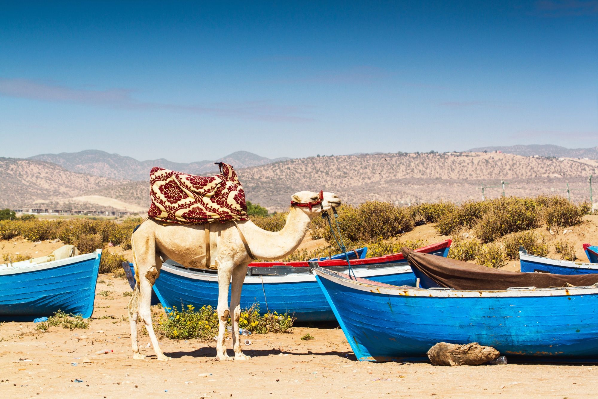 Hilton Taghazout Bay Beach Resort & Spa
